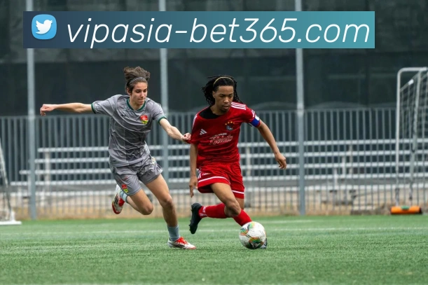 App Interface Preview